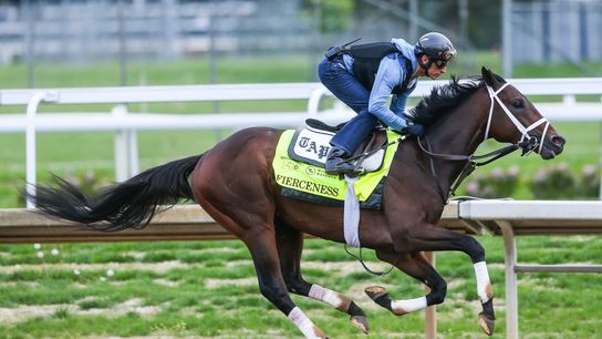 2024 Kentucky Derby: Best bets and biggest storyline (Horse Racing). Photo by Matt Stone, The Courier Journal, USA TODAY NETWORK